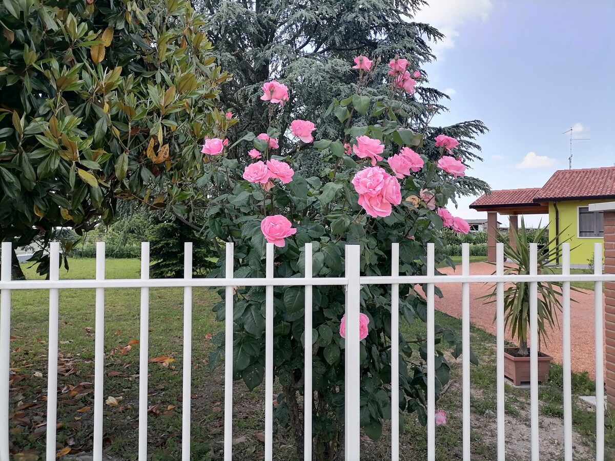 Corte Biancospino - CASA "Cagliara"