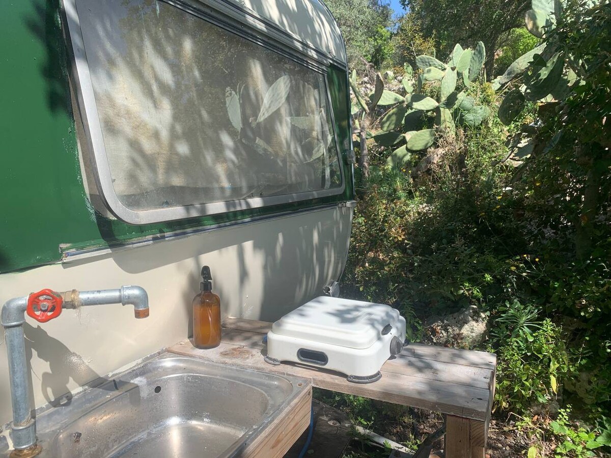 Caravan under the carob