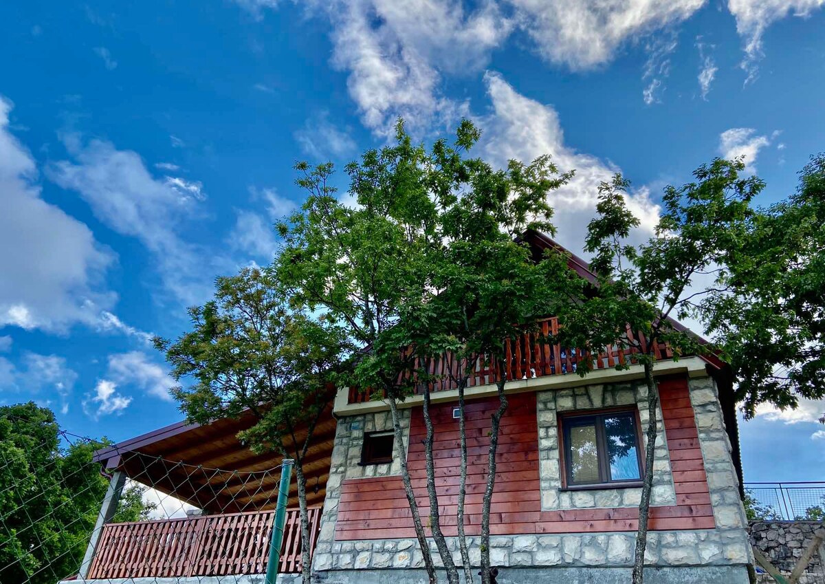 Mountain Village House