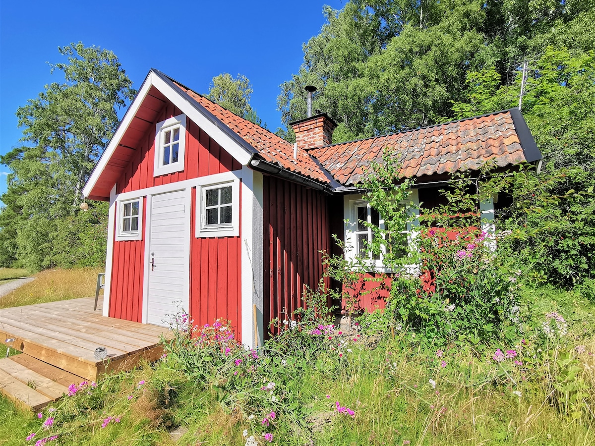 The Cabin at Björken