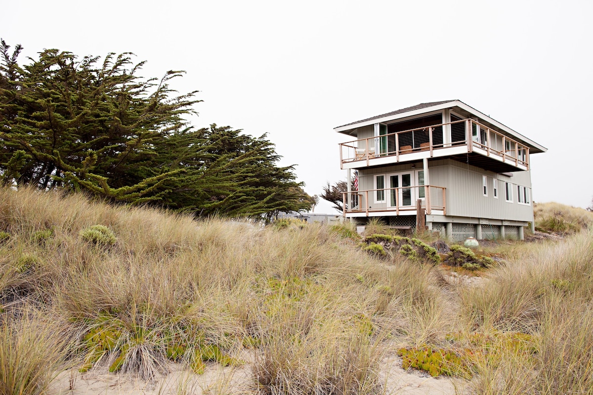 The Tortuga of Pajaro Dunes