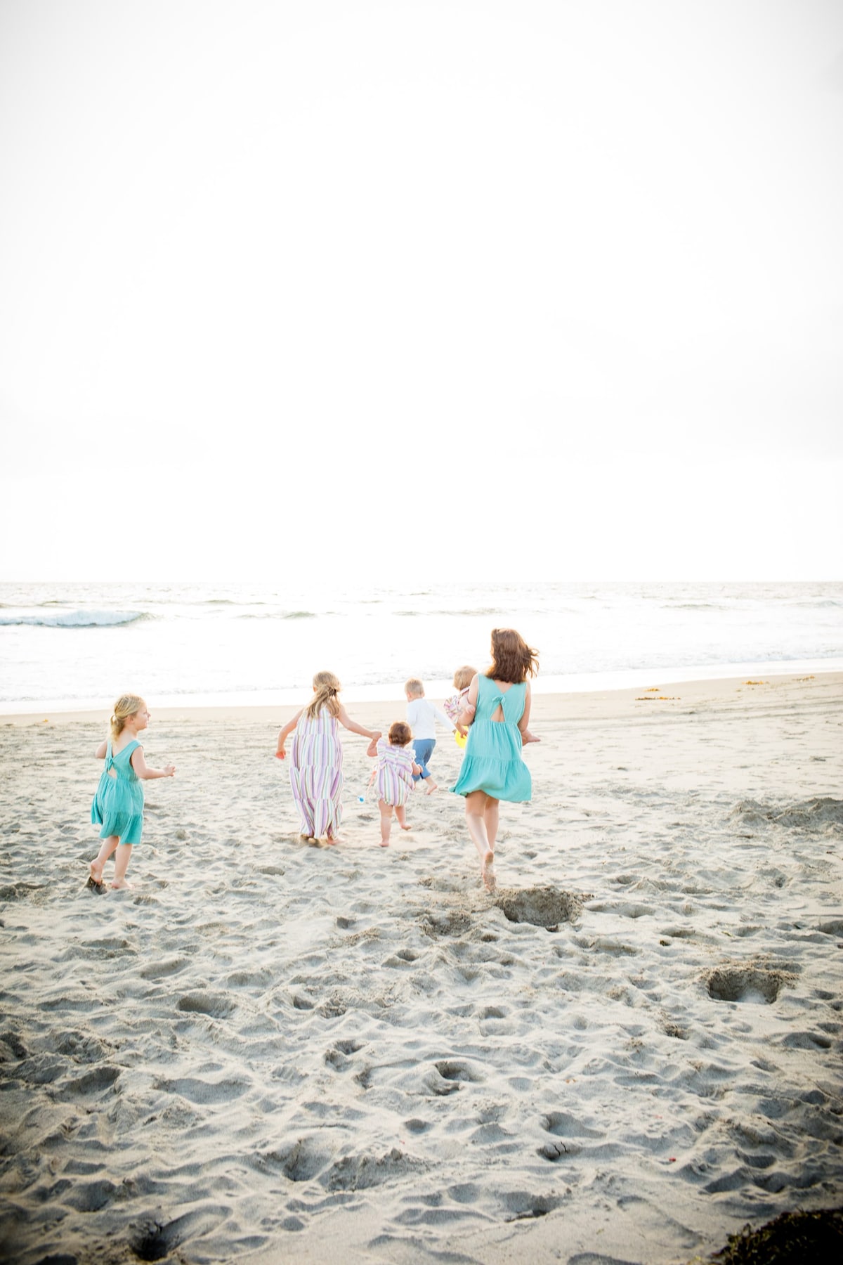 The Tortuga of Pajaro Dunes