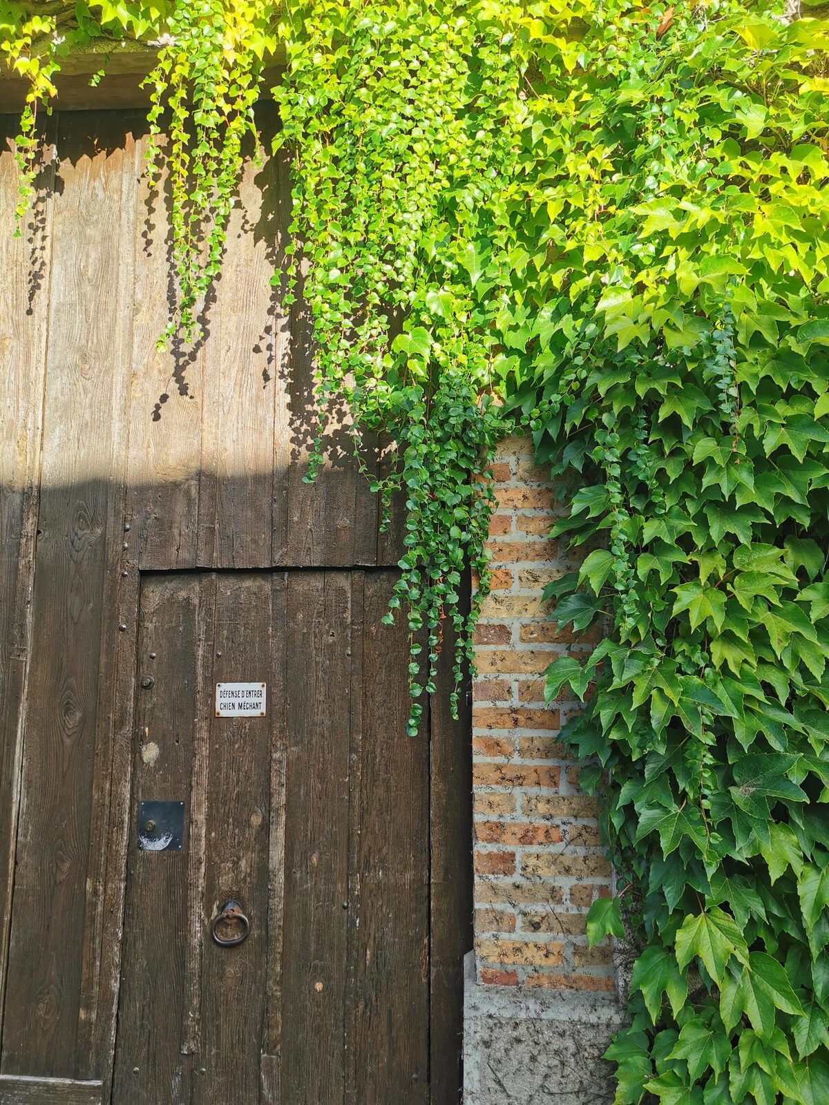 Chambre indépendante avec jardin