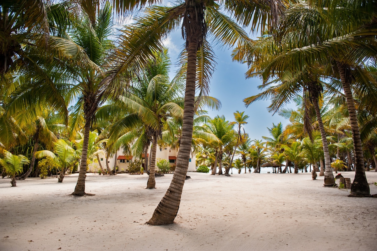 Yum Botic, Costa Maya, Mahahual