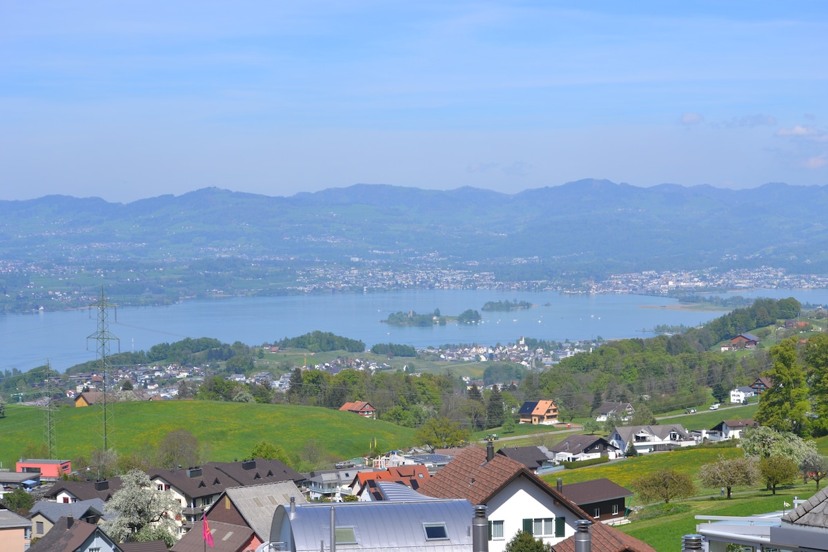 Traumhafter Blick auf den Zürichsee