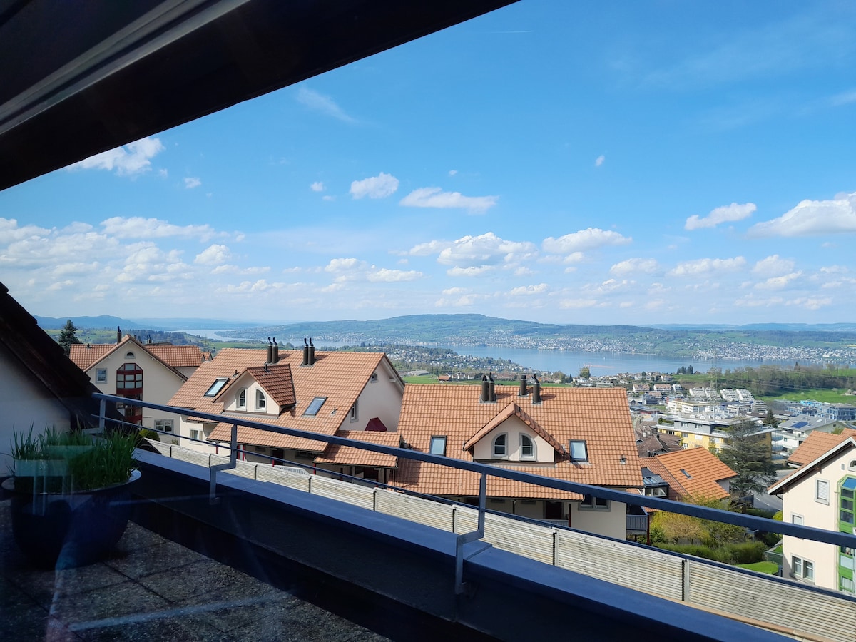 Traumhafter Blick auf den Zürichsee