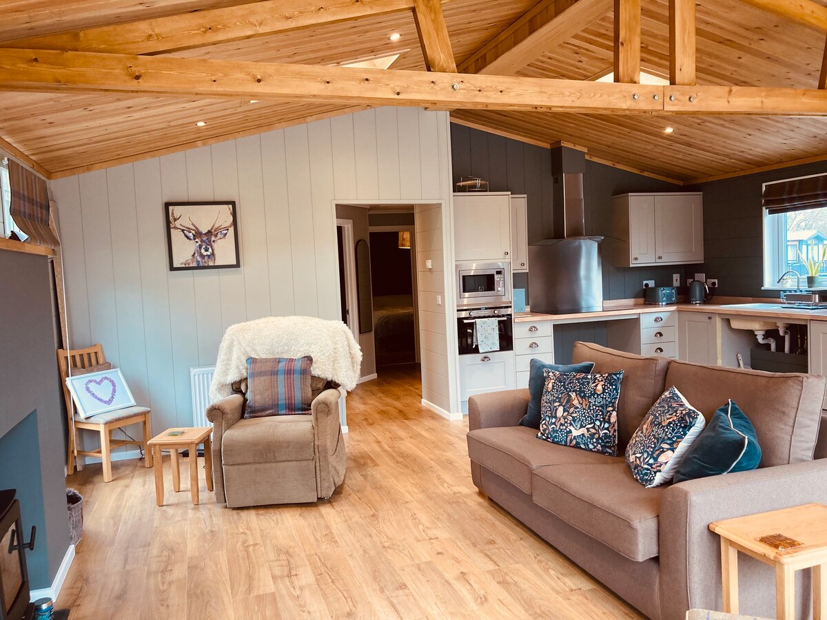 A wheelchair accessible lodge in the New Forest.