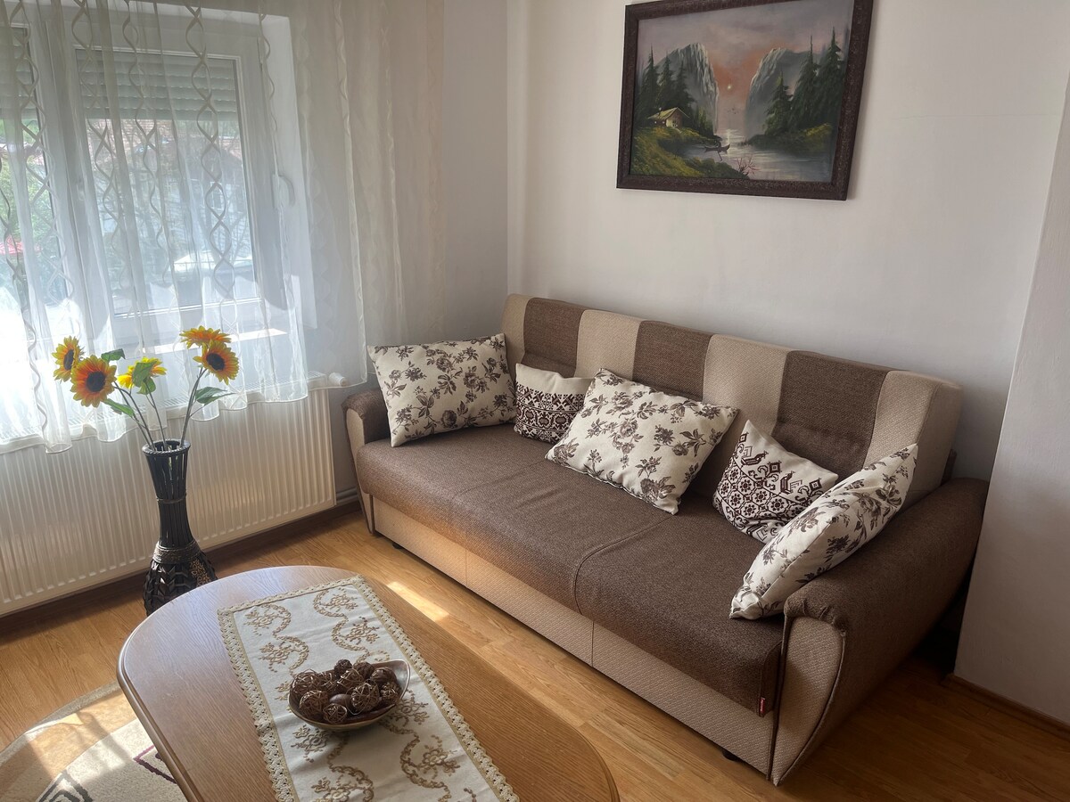 Apartament sub cetatea Rupea