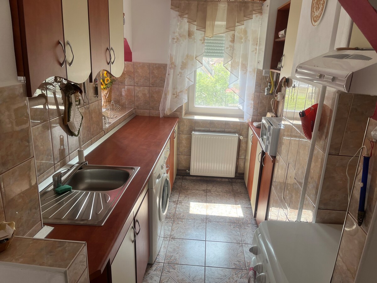 Apartament sub cetatea Rupea