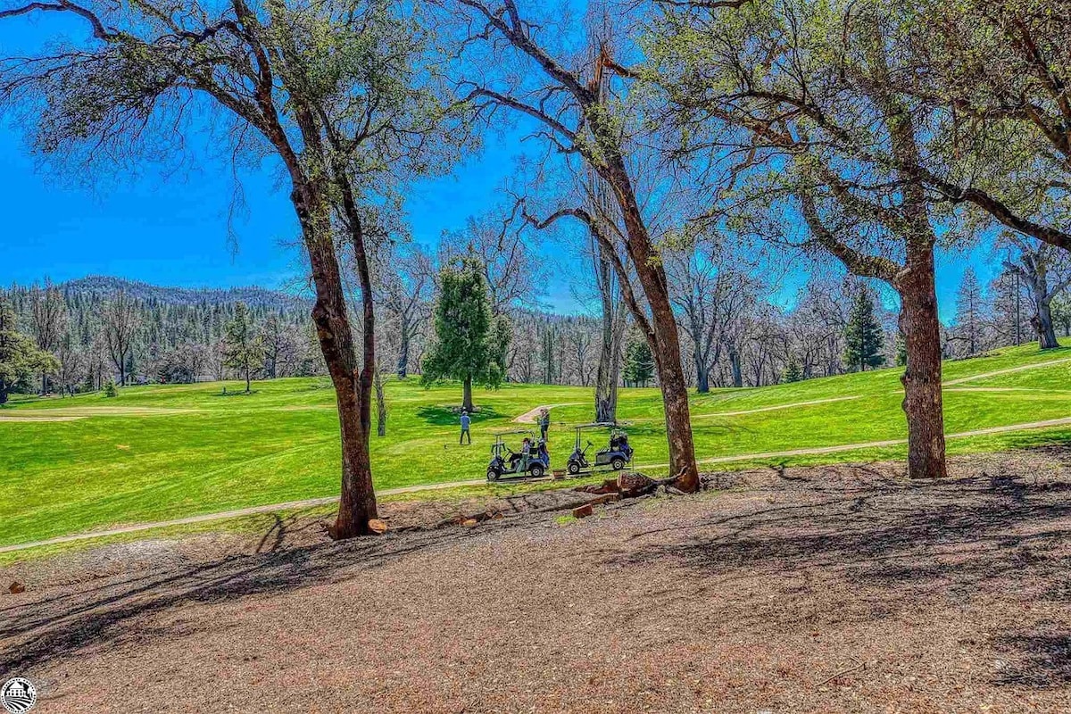 24mi to Yosemite - Lake home with Golf Course View