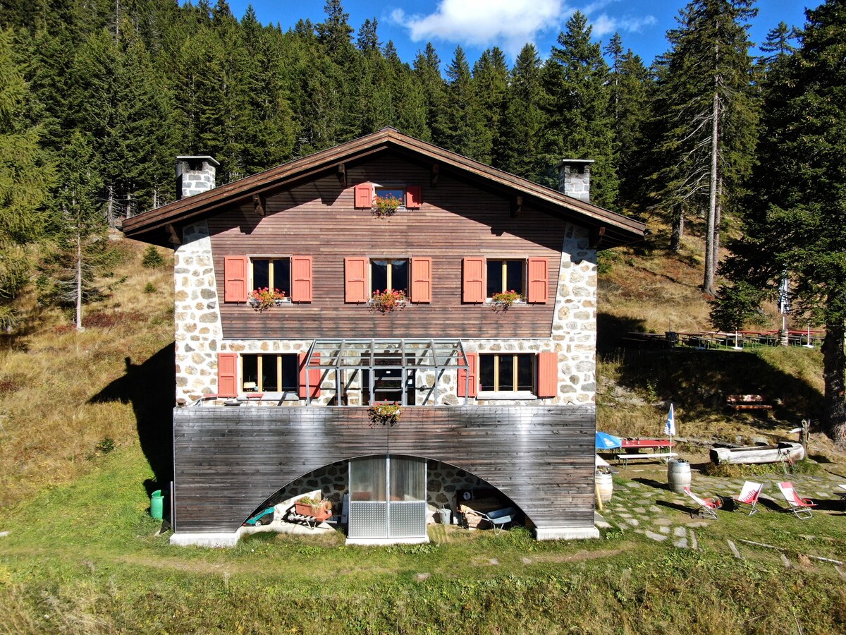 Capanna immersa nel bosco con fantastica vista