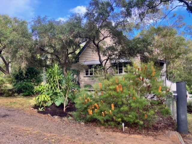 The Little Queenslander.