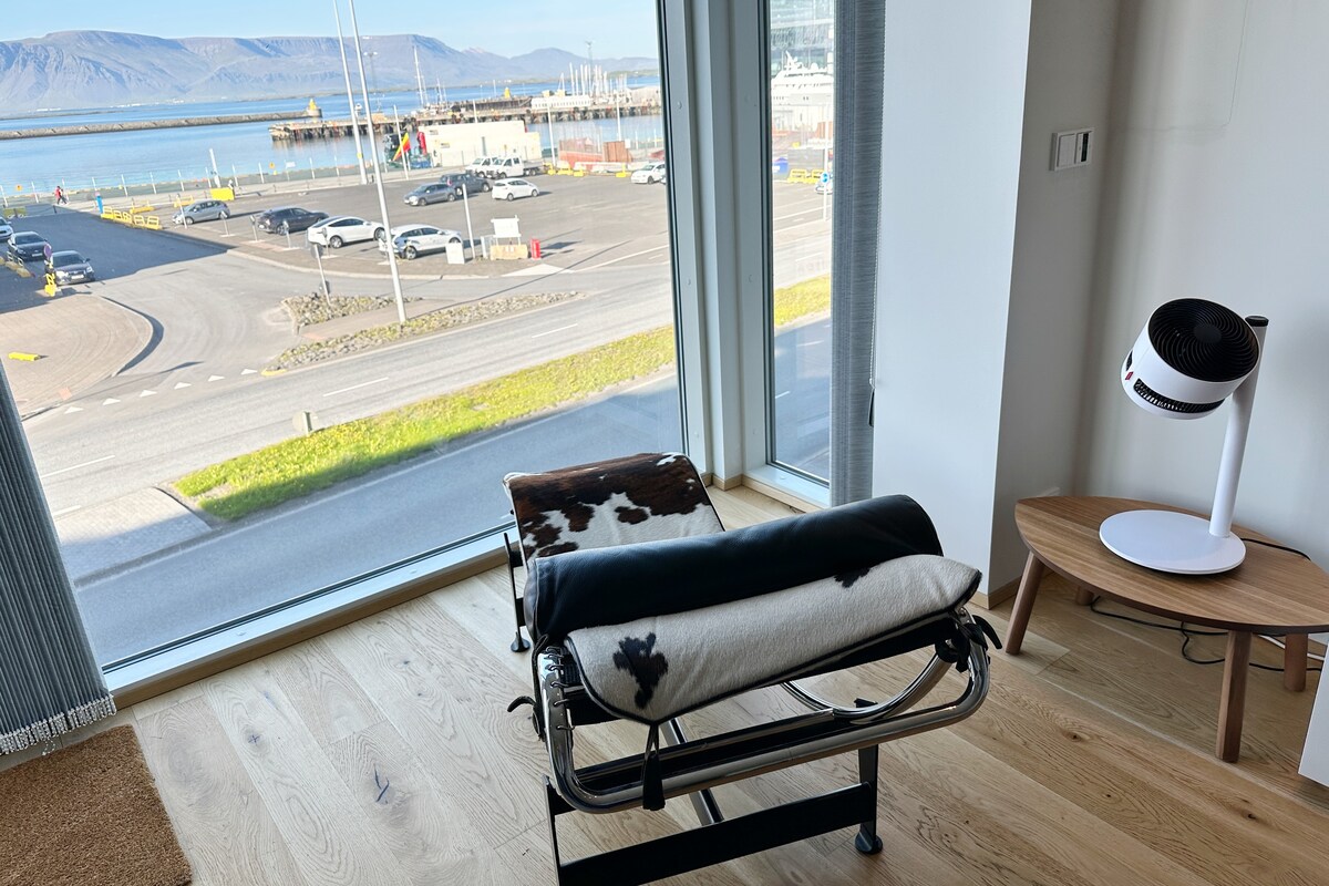 Luxury Reykjavik Downtown Harbour apartment