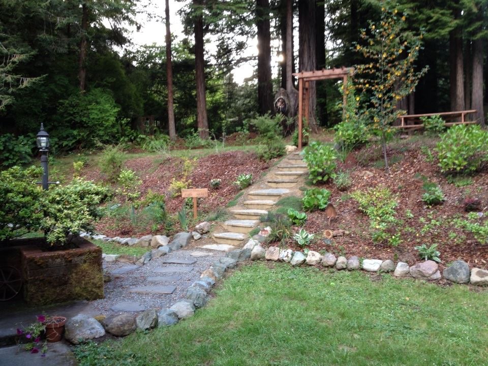 Private Studio with Patio in Redwoods