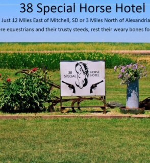 The 38 Special Horse Hotel # 3