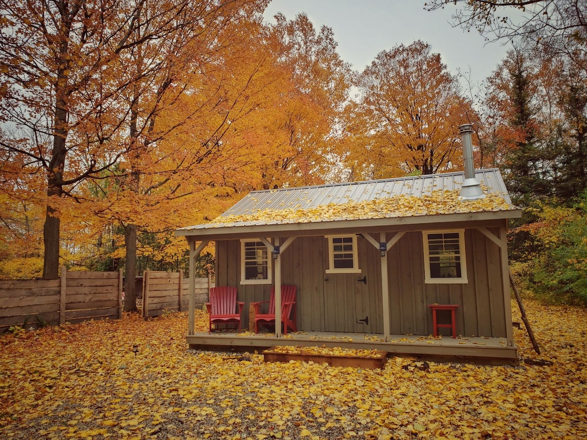 Knotty Gnome Cabin