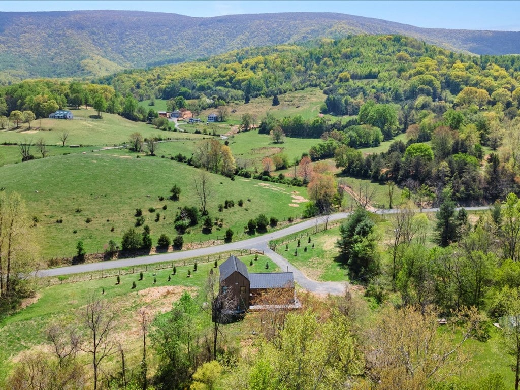 Shenandoah Modern Retreat