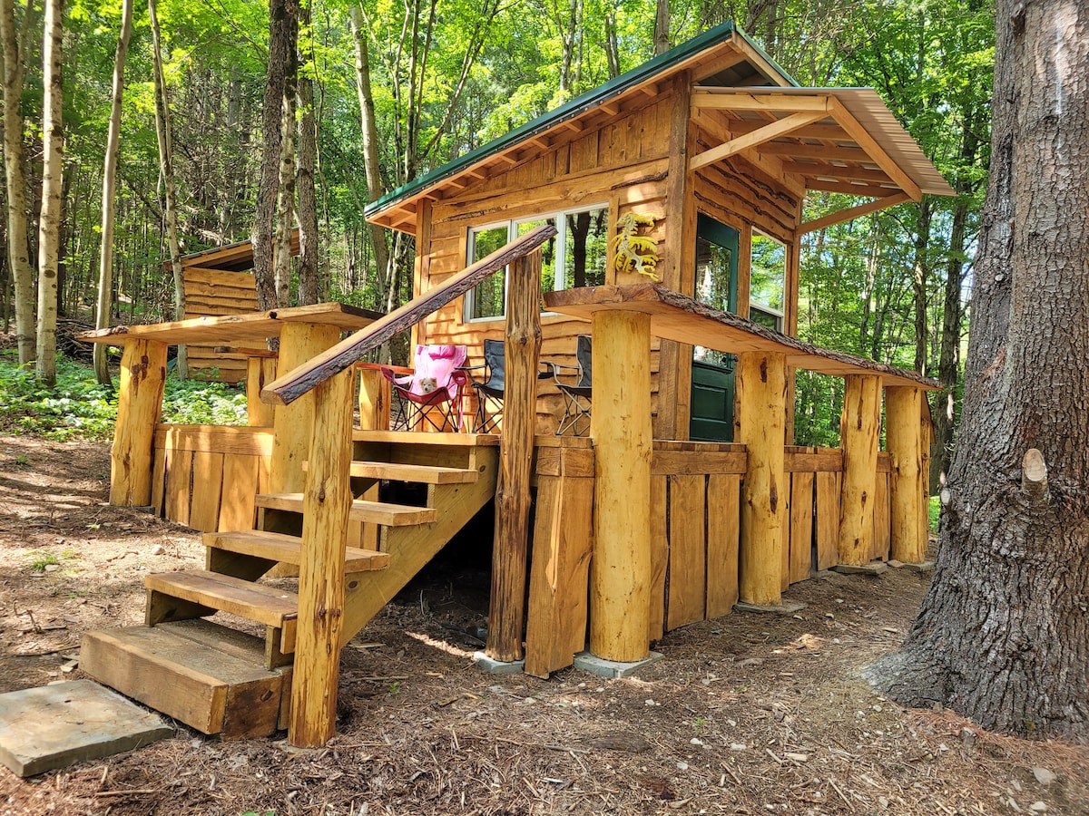 Seahorse Tiny House in the Pines