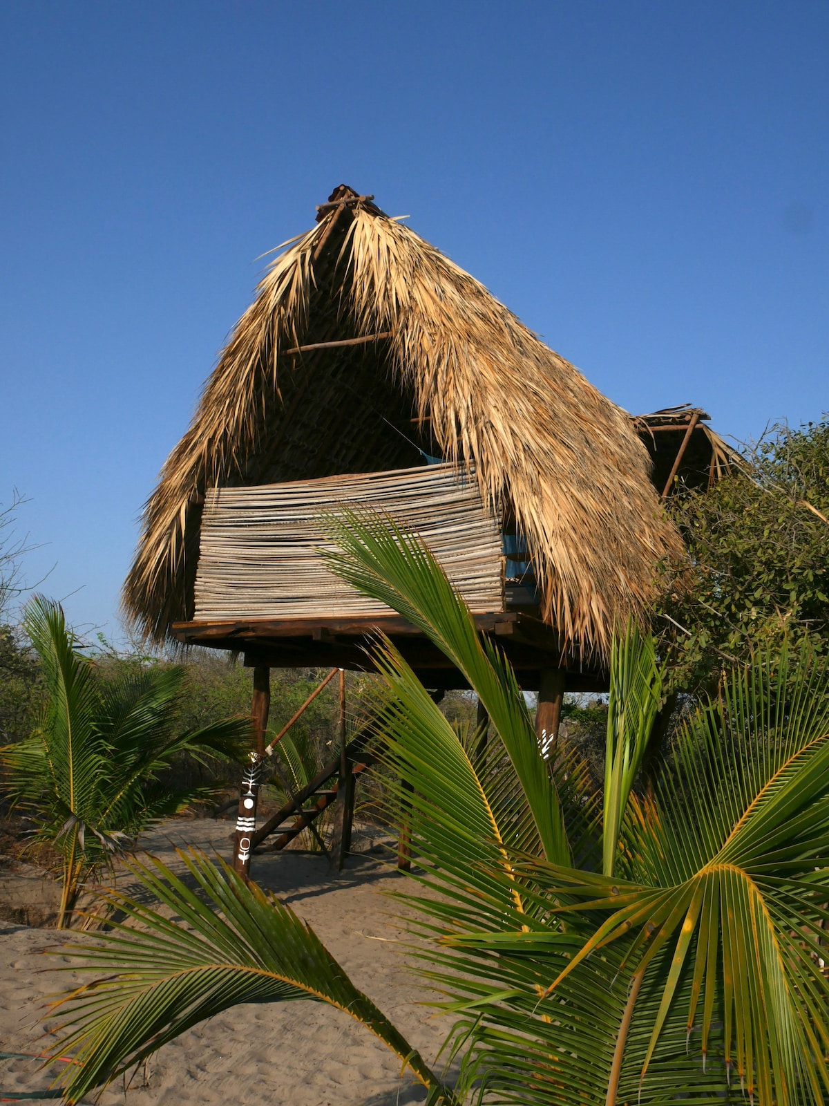 Jungle Cabin - Nahualcali Chacahua