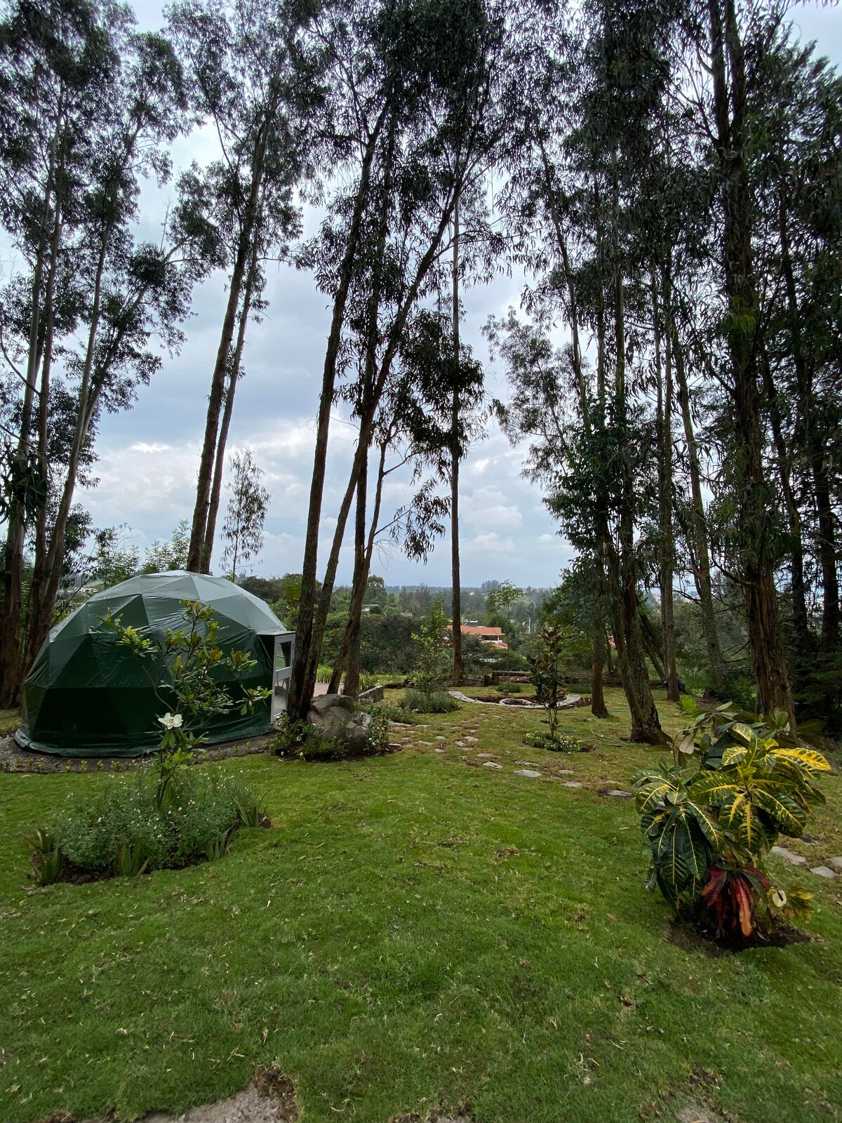 Glamping en las faldas del ilalo