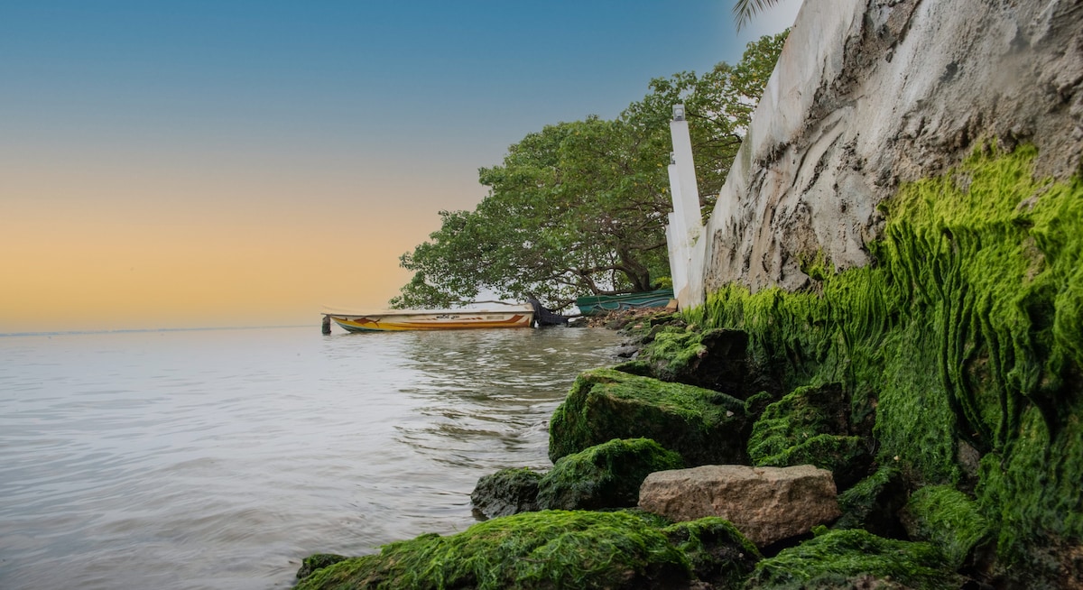Hiru Lagoon Negombo