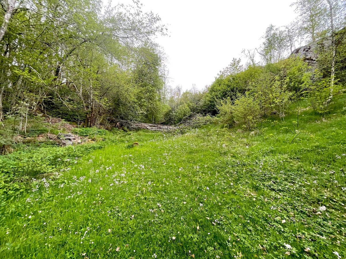 Feriebolig med flott utsikt over fjord og fjell