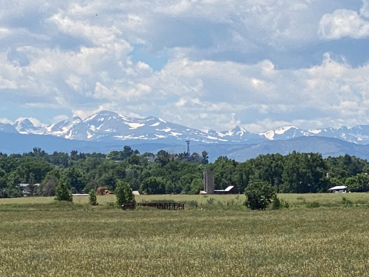 开放空间的山景