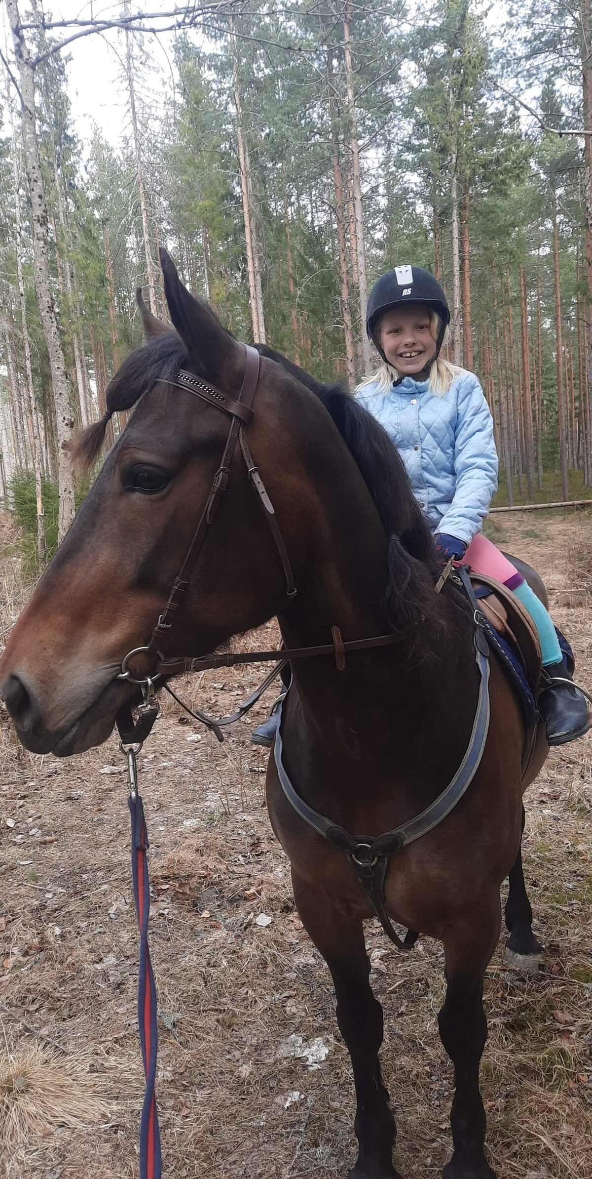 Dyr på tunet. 3 km bø sommerland