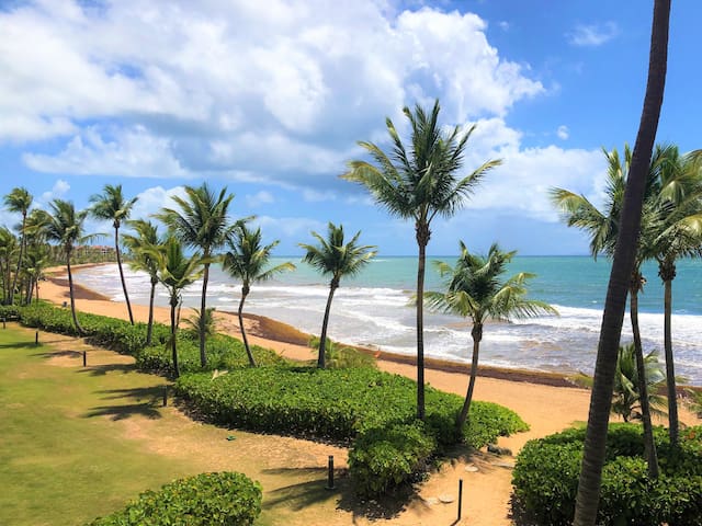 乌马考(Humacao)的民宿