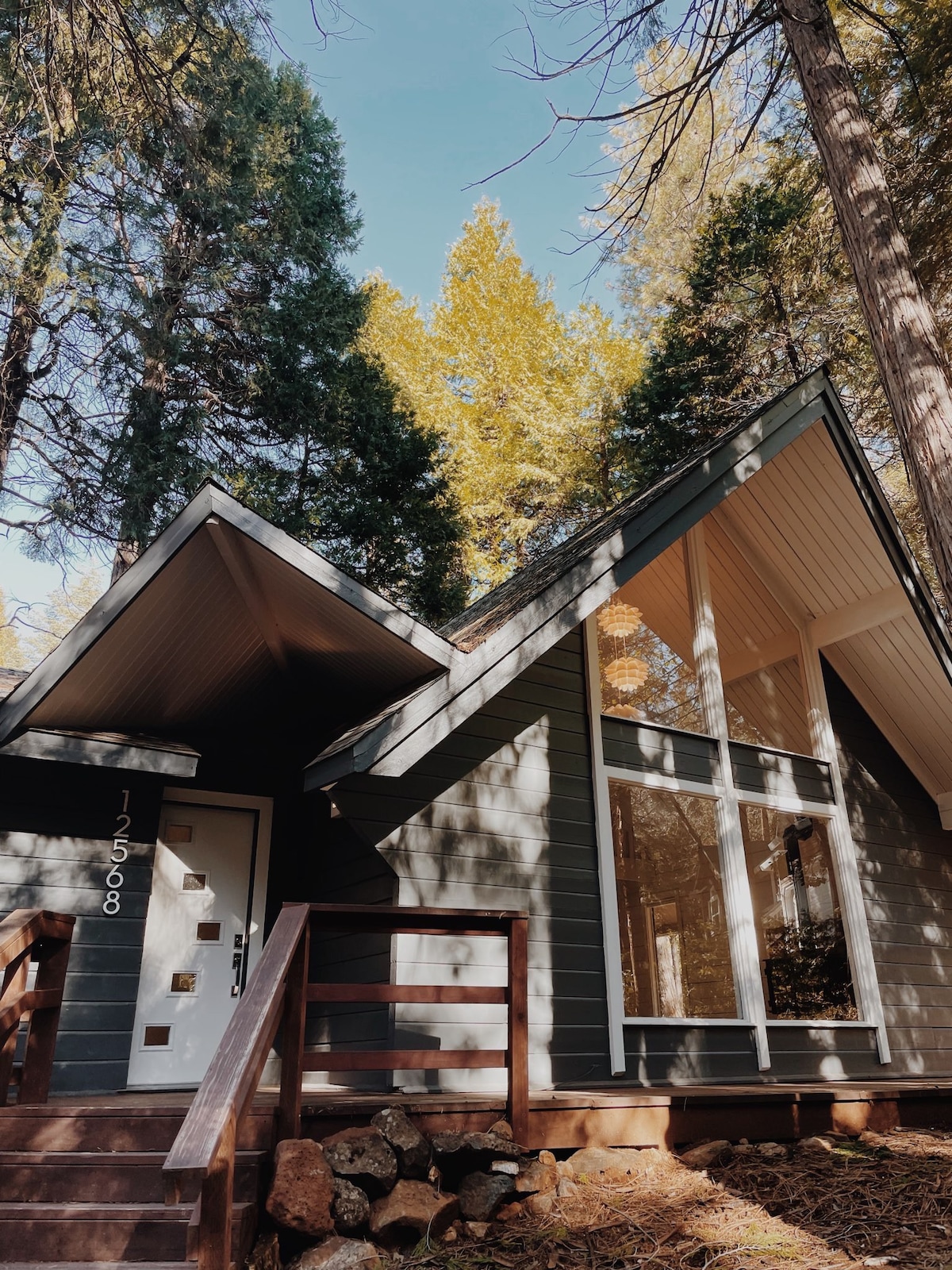 Nevada City Cabin Pups welcome has AC