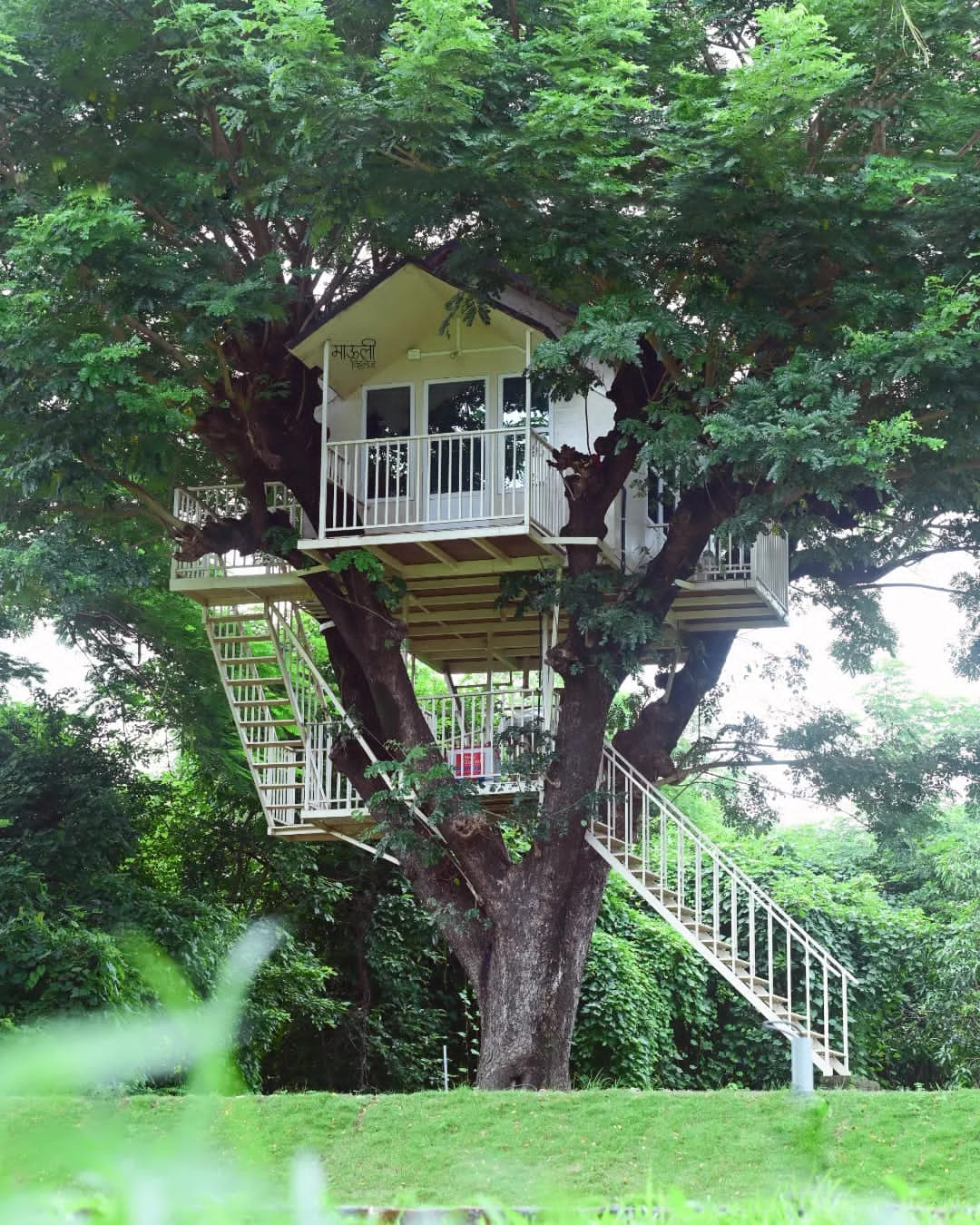 Nature 's Nest ：树屋体验