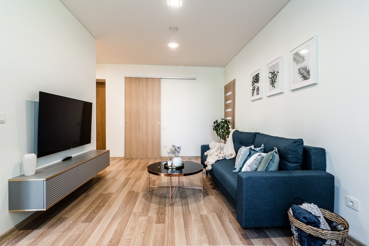 Cozy apartment at center of Kaunas