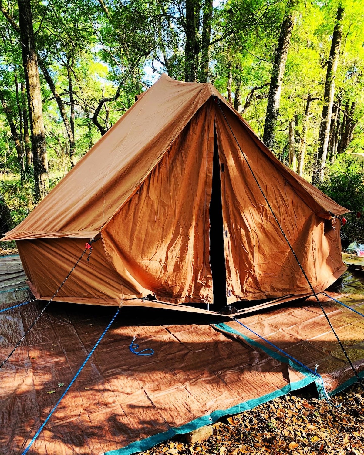 Cozy glamping near springs, rivers & manatees!