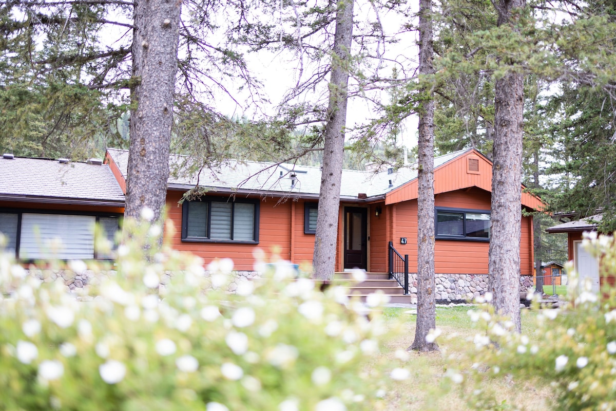 Cozy Bright Cabin w/ sauna/gym for Mountain Escape