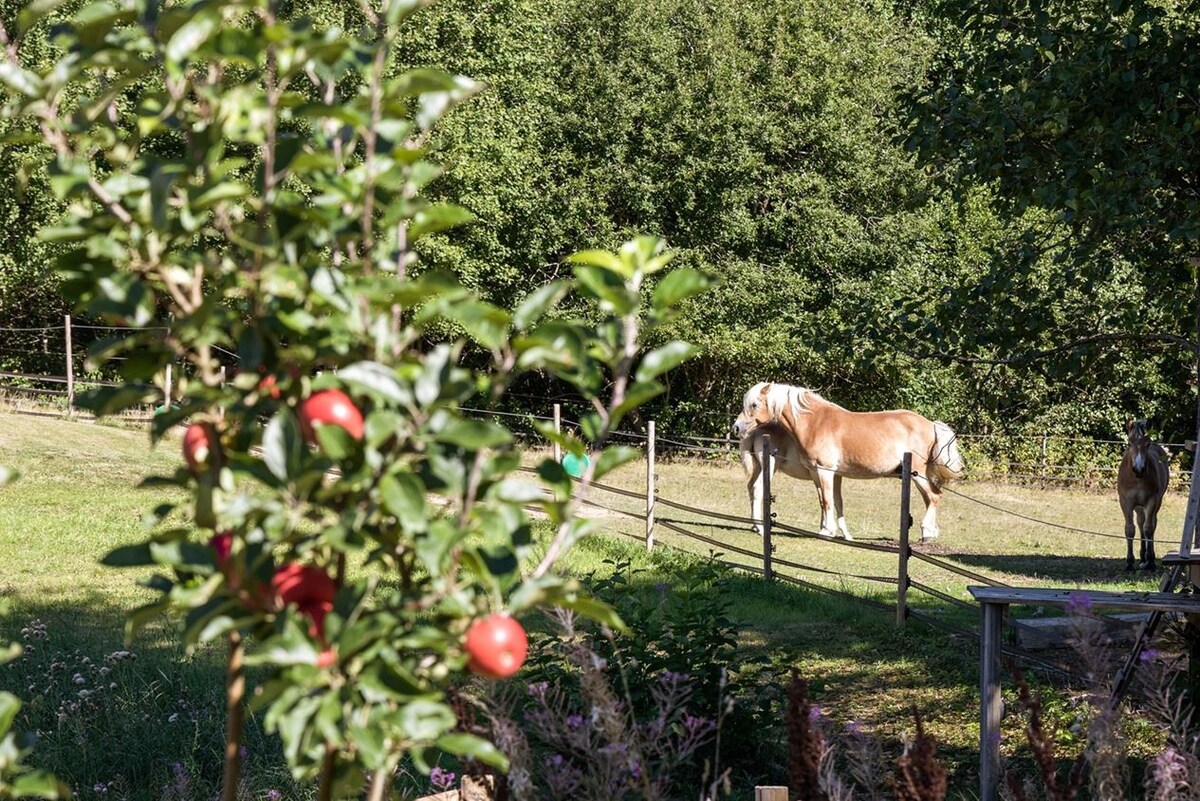 Exklusiv husbil på hästgård!