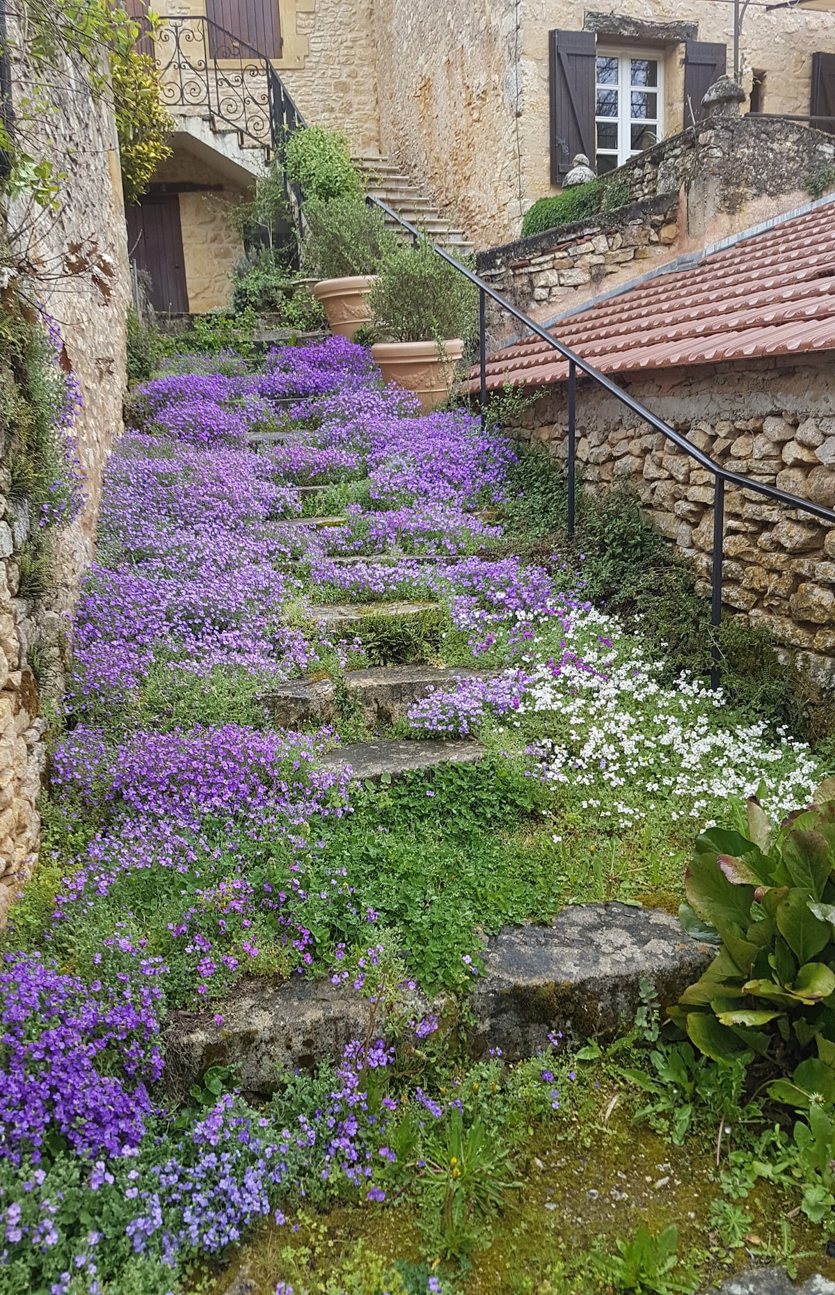 Hameau de paix avec charme