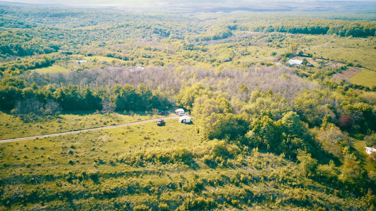 Cozy caravans / fantastic view