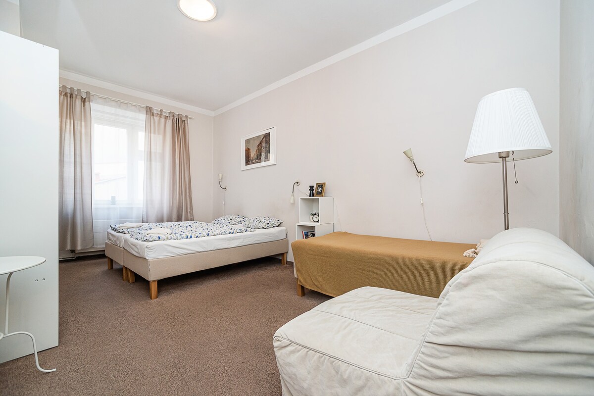 Sleeps 6 flat by tram Zizkov