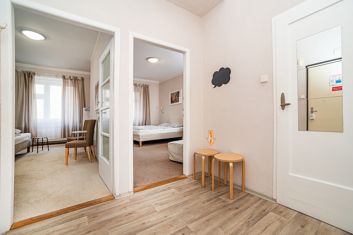 Sleeps 6 flat by tram Zizkov