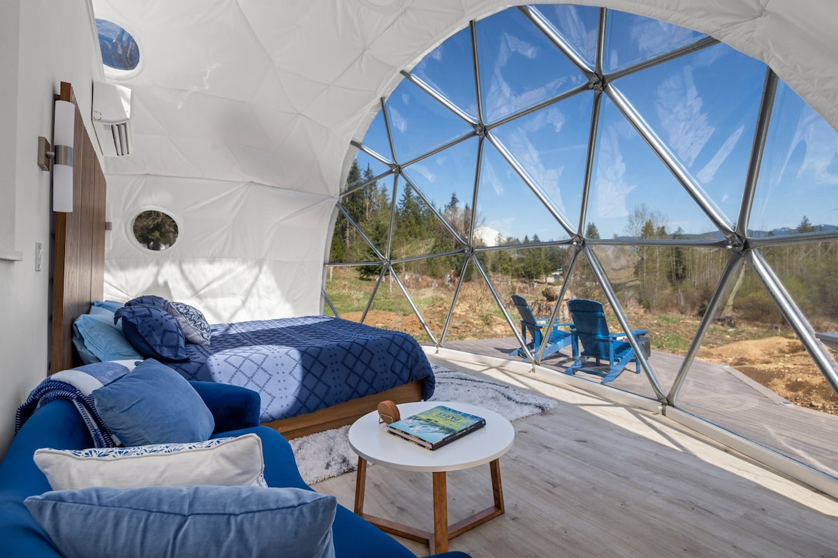 Stargazer Dome at Mt. Rainier. Views+ Games+Glamp