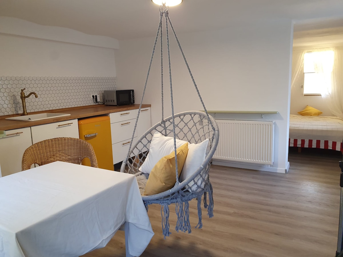 Mini Apartment in Dilsberg