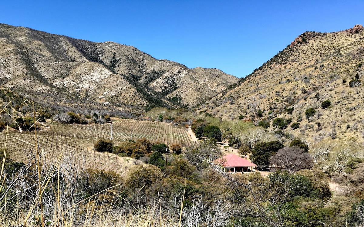 The Colibri Vineyard House