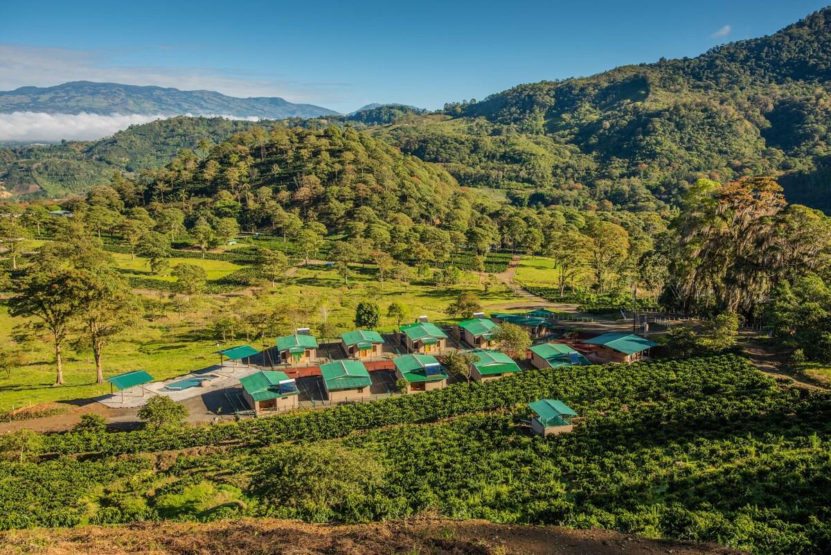 Coffee Pickers Village By Hacienda Orosi /V1