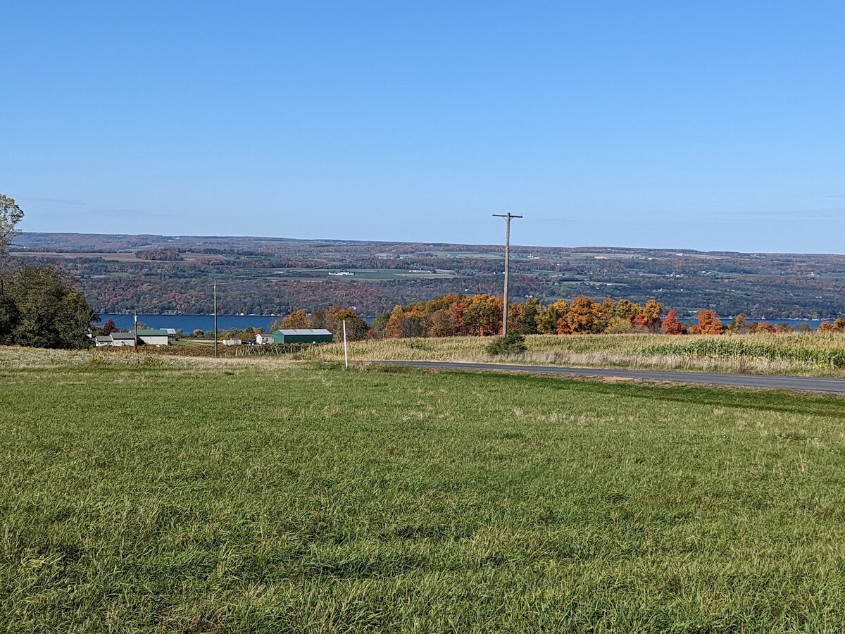 Cabin Finger Lakes Wine Trail Vineyard/Lake View 3