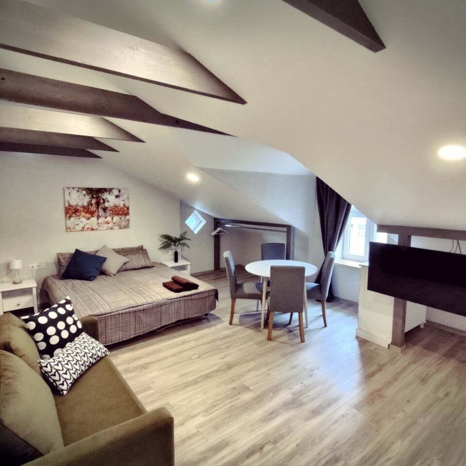 Livu 10 Attic Studio Apartments