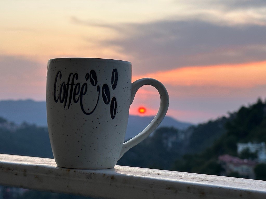 Hillside Escape in Barog / Kasauli / Shimla Way