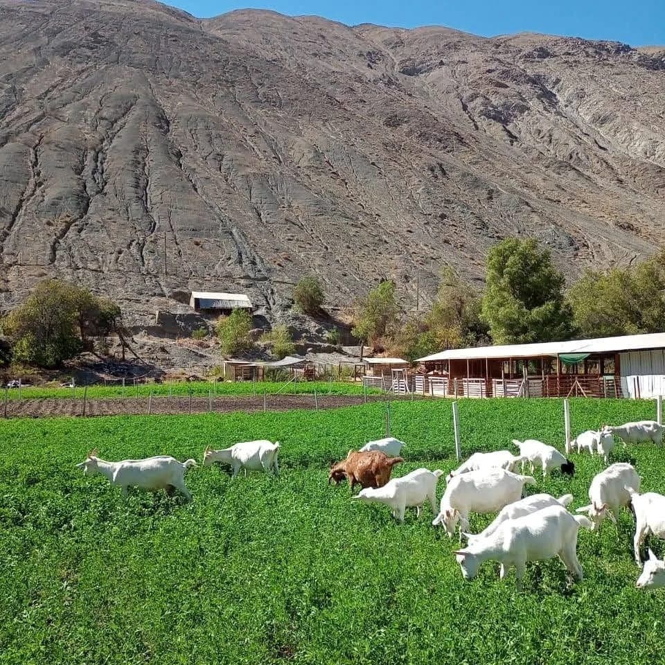 Agroturismo Raíces