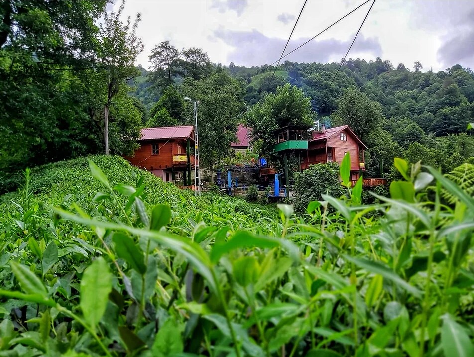 Village House Duplex with Forest View