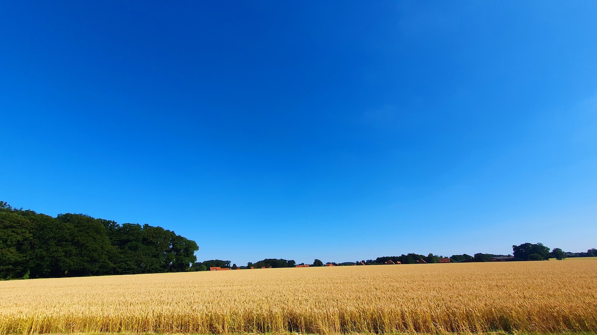 Ferienwohnung mitten in der Natur