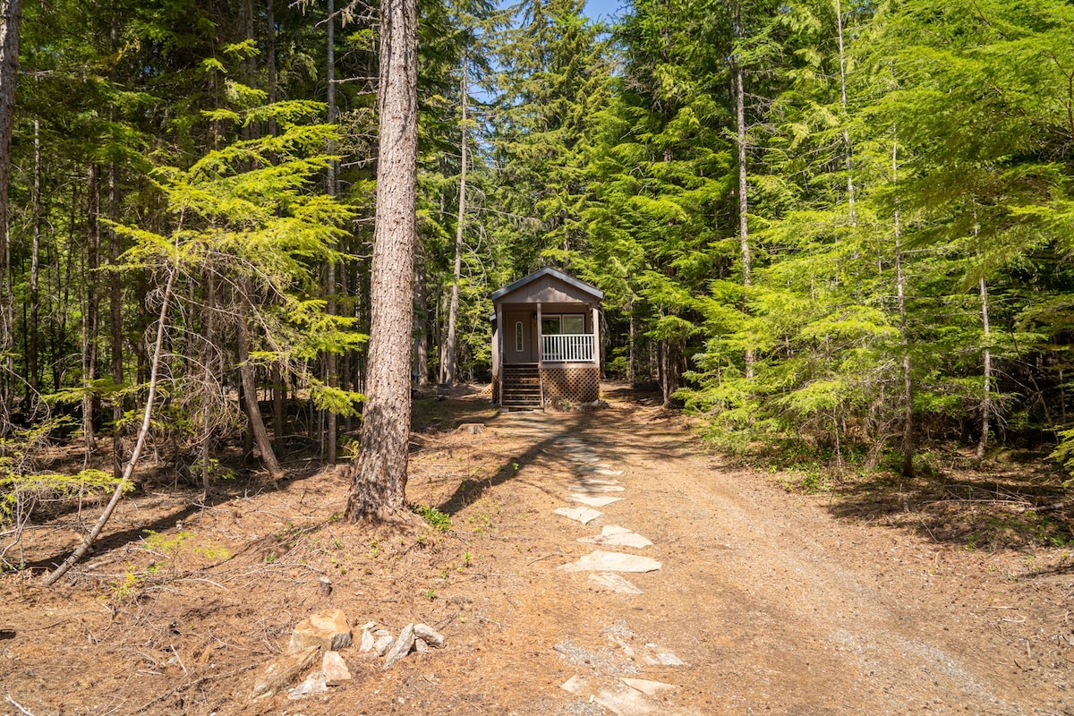White Grizzly - Larch Cabin